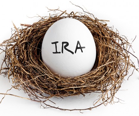Egg with IRA written on in a nest